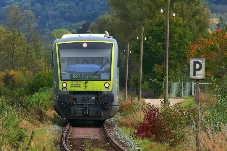 Treno che attraversa un paesaggio autunnale con colori vivaci, simile a quelli del Canada.