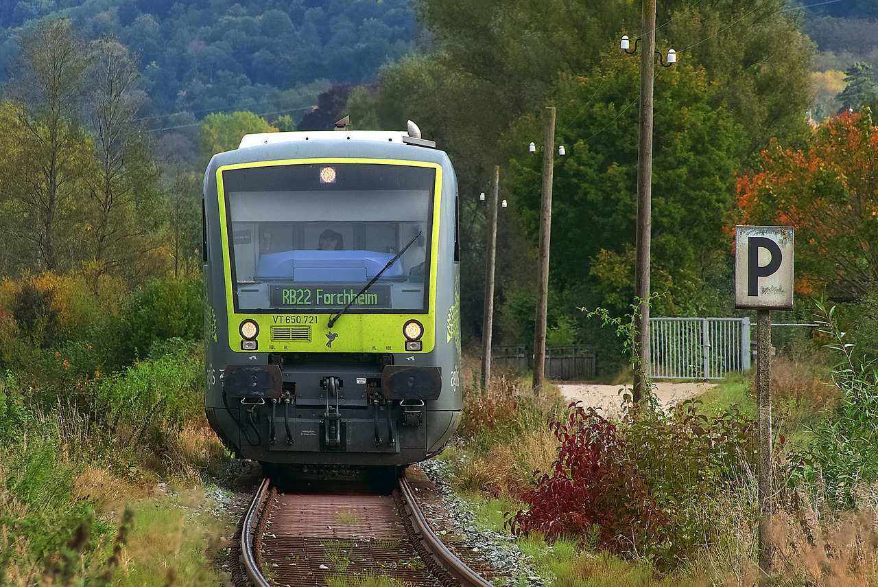 Treno che attraversa un paesaggio autunnale con colori vivaci, simile a quelli del Canada.